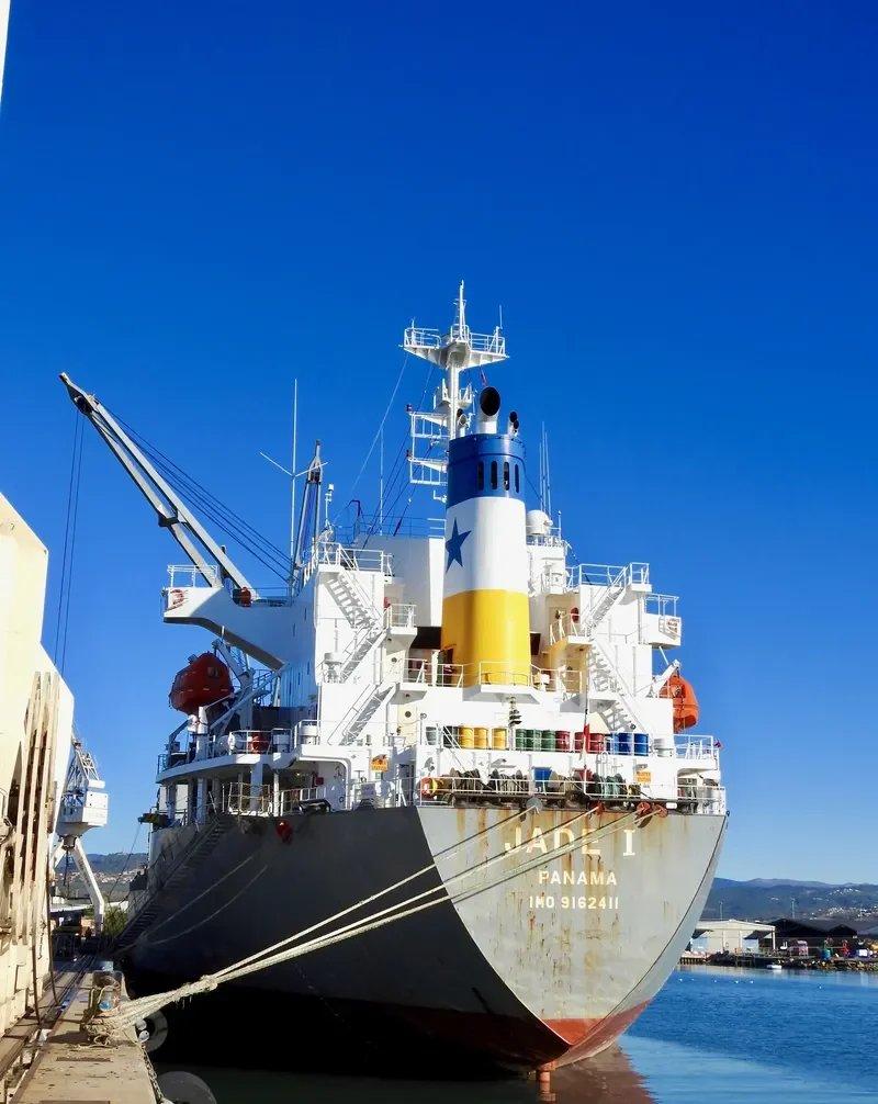 JADE I General Cargo IMO 9162411 photo 5