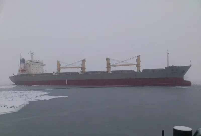 YANG HAI Bulk Carrier IMO 9162447 photo 7