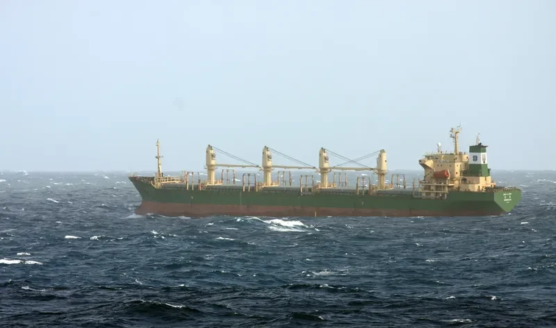 SEA GLORY Bulk Carrier IMO 9162459 photo 9