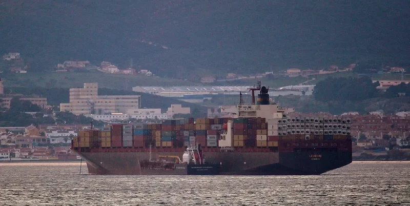 LESOTHO Container Ship IMO 9162485 photo 9
