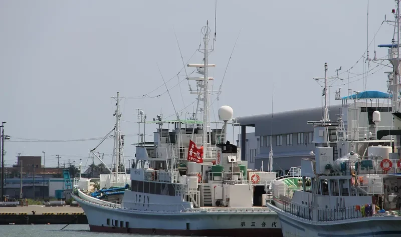 NIKKO MARU NO.51 General Cargo IMO 9162576 photo 6