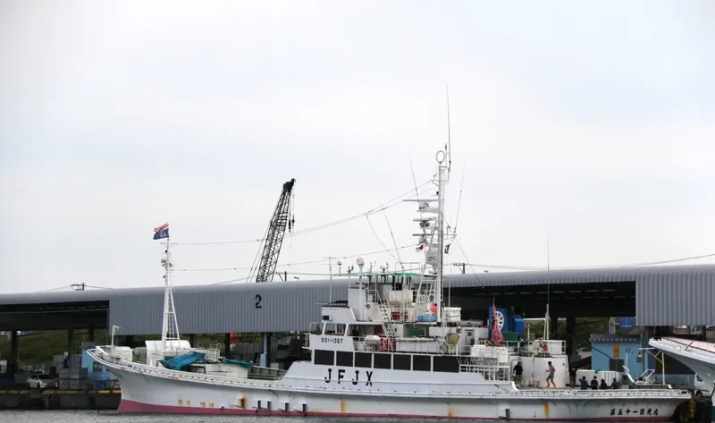NIKKO MARU NO.51 General Cargo IMO 9162576 photo 10