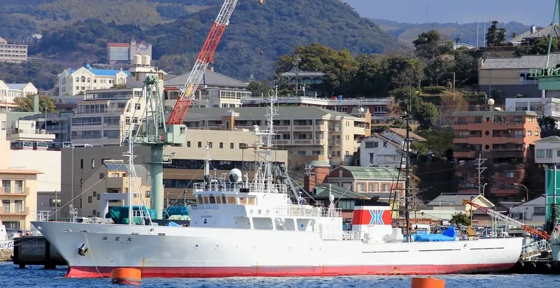 MECHTA General Cargo IMO 9162588 photo 3
