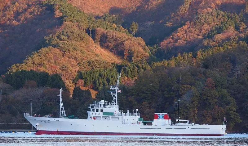 MECHTA General Cargo IMO 9162588 photo 4