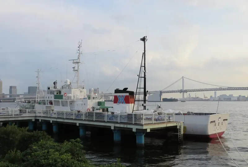 MECHTA General Cargo IMO 9162588 photo 7