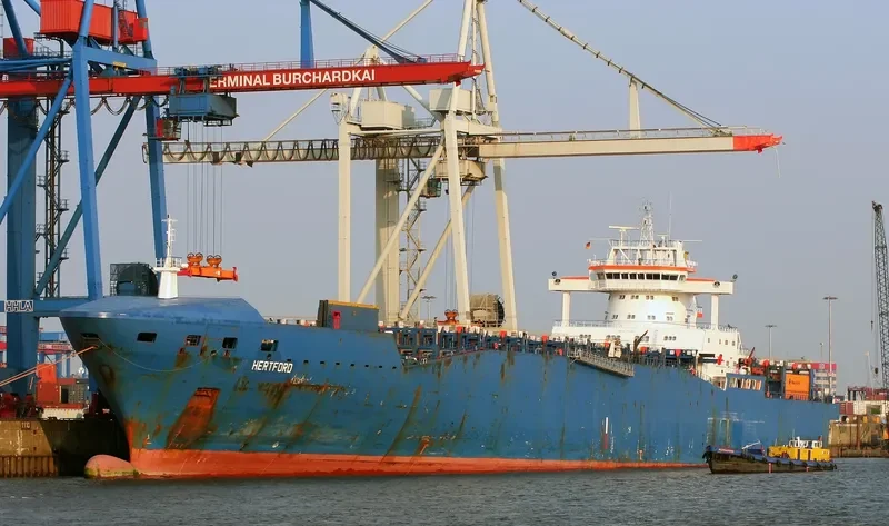 MSC PROVIDER Container Ship IMO 9162617 photo 2