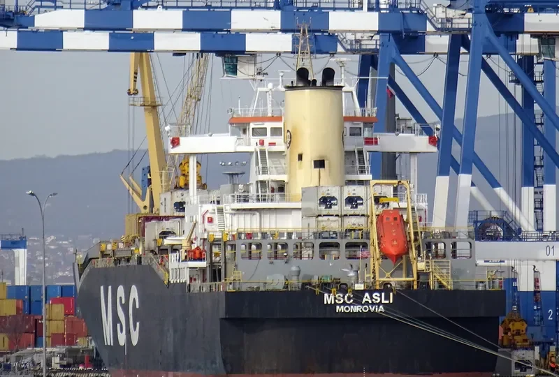 MSC ASLI Container Ship IMO 9162631