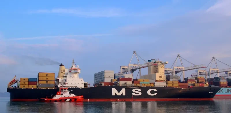 MSC ASLI Container Ship IMO 9162631 photo 6