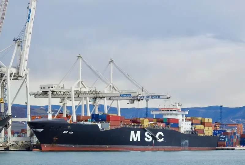 MSC LEA Container Ship IMO 9162643