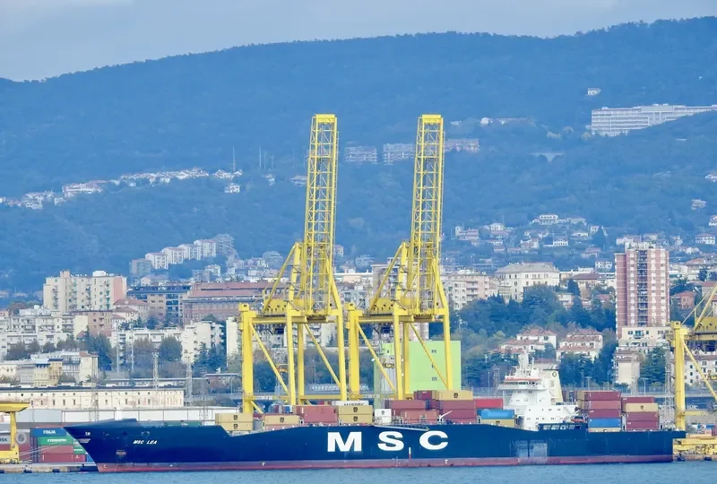 MSC LEA Container Ship IMO 9162643 photo 2