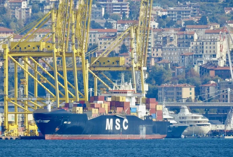 MSC LEA Container Ship IMO 9162643 photo 3