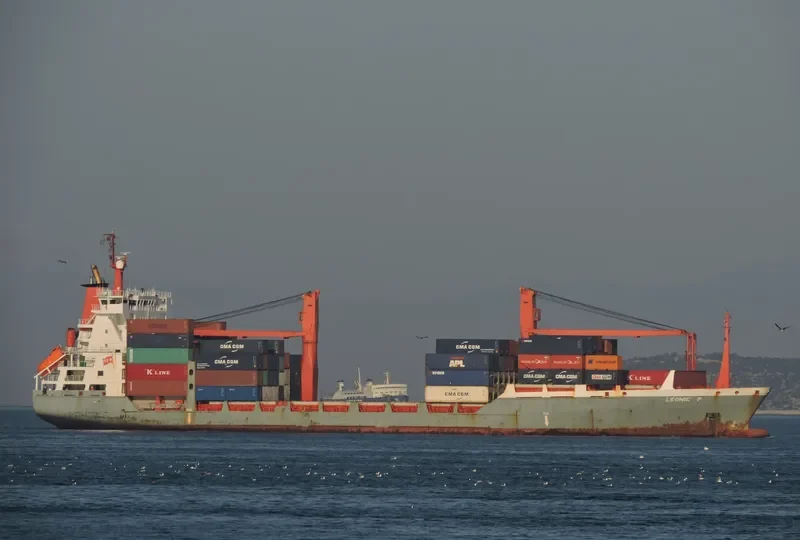 LEONIE P Container Ship IMO 9162667 photo 7