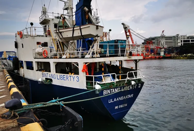 BINTANG LIBERTY 3 General Cargo IMO 9162734 photo 3