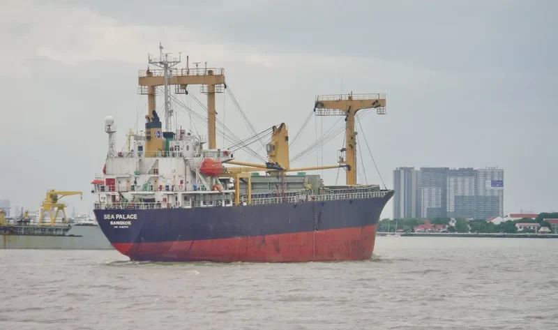 SEA PALACE General Cargo IMO 9162760 photo 3