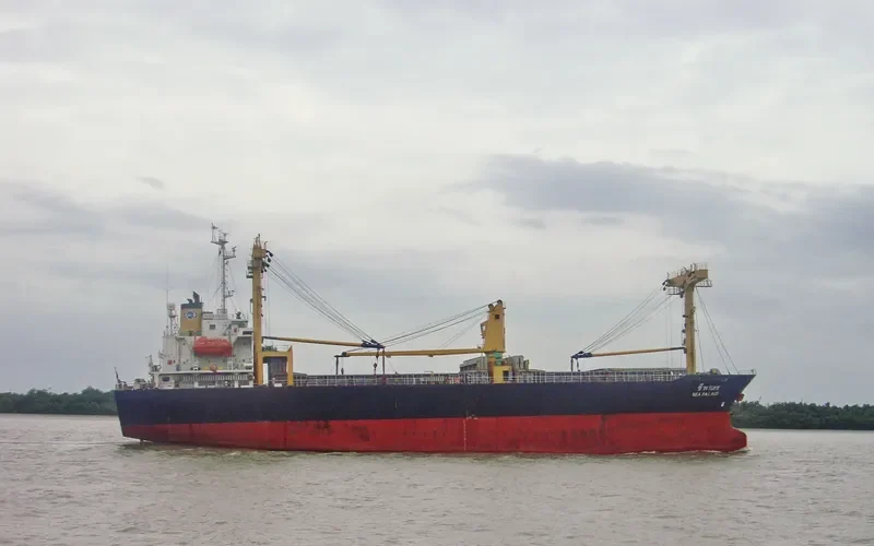 SEA PALACE General Cargo IMO 9162760 photo 4