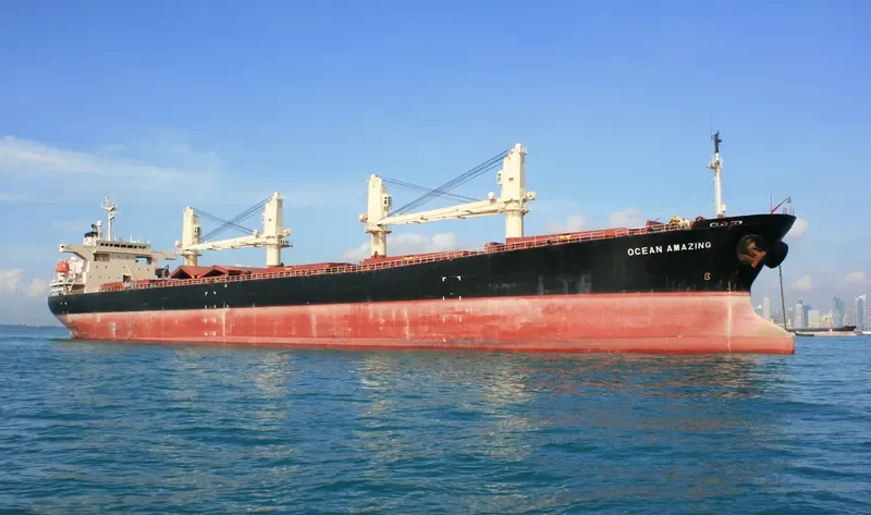 OCEAN AMAZING Bulk Carrier IMO 9162942
