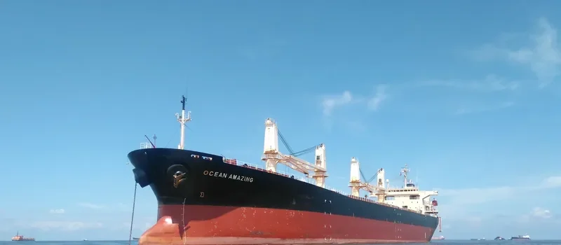 OCEAN AMAZING Bulk Carrier IMO 9162942 photo 3
