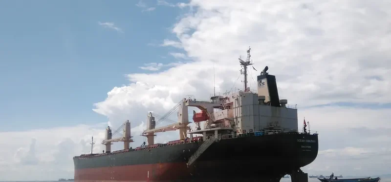 OCEAN AMAZING Bulk Carrier IMO 9162942 photo 4