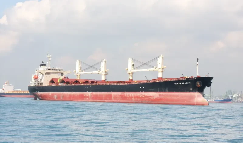 OCEAN AMAZING Bulk Carrier IMO 9162942 photo 5