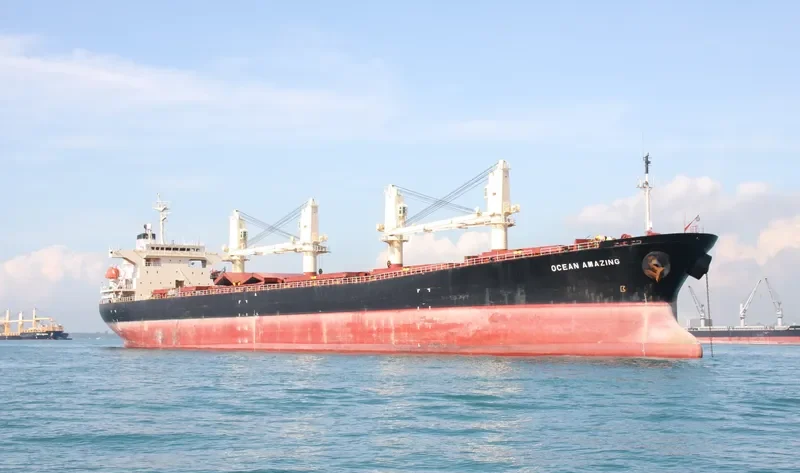 OCEAN AMAZING Bulk Carrier IMO 9162942 photo 6