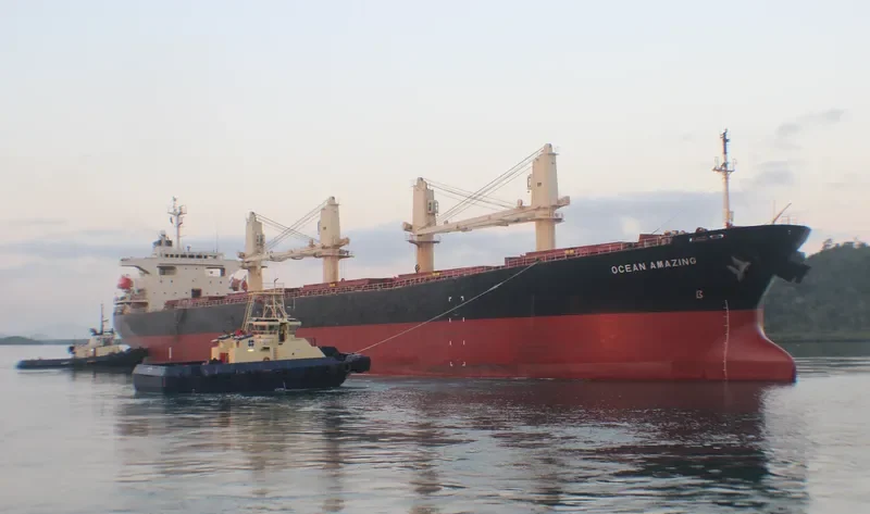 OCEAN AMAZING Bulk Carrier IMO 9162942 photo 7