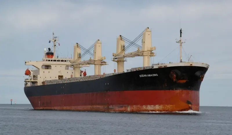 OCEAN AMAZING Bulk Carrier IMO 9162942 photo 9