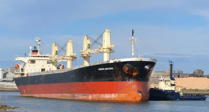 OCEAN AMAZING Bulk Carrier IMO 9162942 photo 10