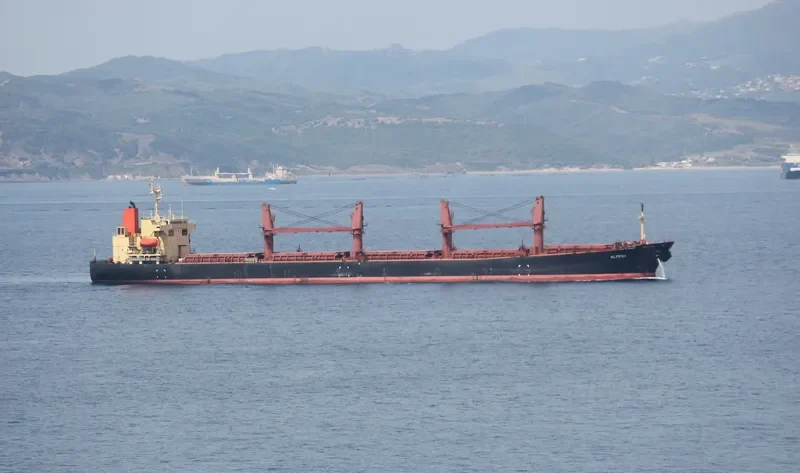 ALPENA Bulk Carrier IMO 9162980 photo 5