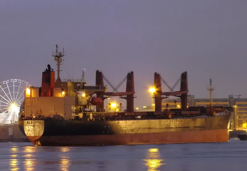 ALPENA Bulk Carrier IMO 9162980 photo 7