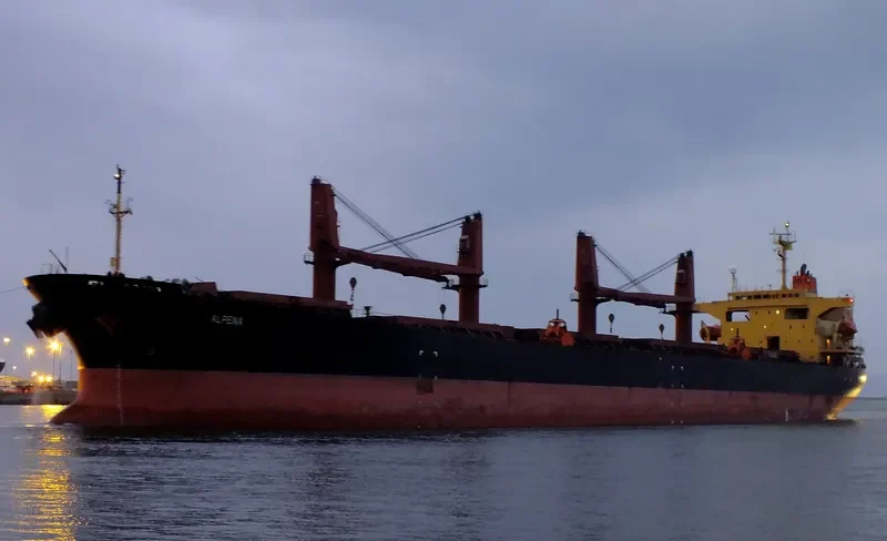 ALPENA Bulk Carrier IMO 9162980 photo 8