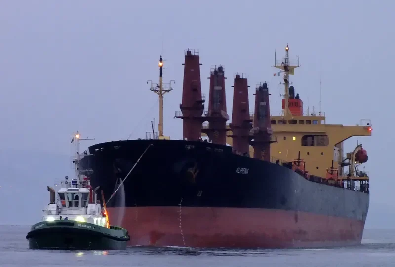 ALPENA Bulk Carrier IMO 9162980 photo 10