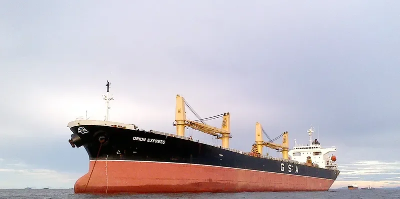 YOUMNA Bulk Carrier IMO 9162992