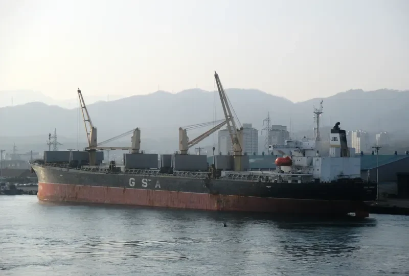 YOUMNA Bulk Carrier IMO 9162992 photo 3
