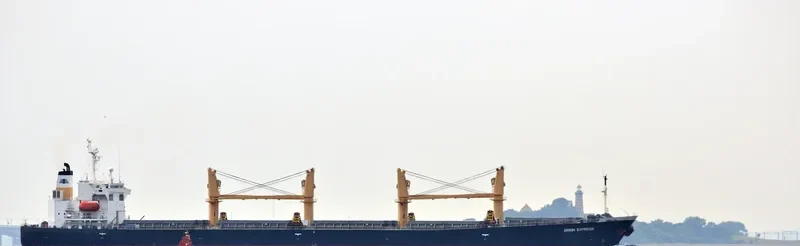 YOUMNA Bulk Carrier IMO 9162992 photo 8