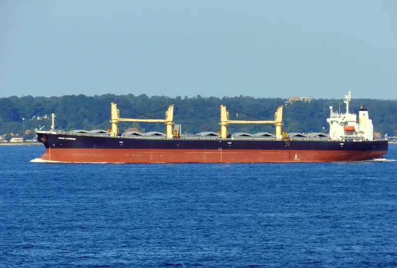 YOUMNA Bulk Carrier IMO 9162992 photo 9