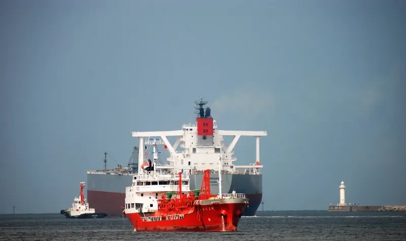 PILATUS 56 General Cargo IMO 9163116 photo 4