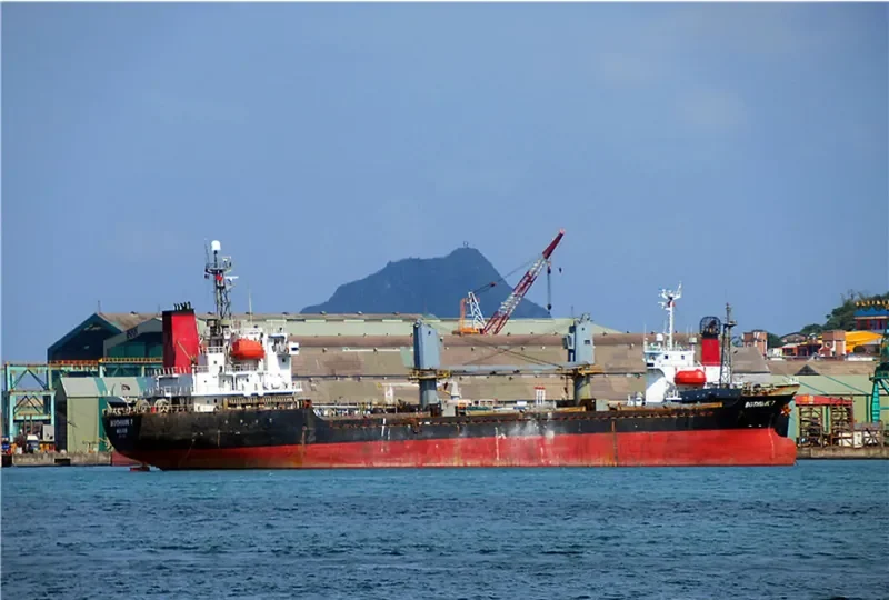 BOTHWIN 7 General Cargo IMO 9163154 photo 6