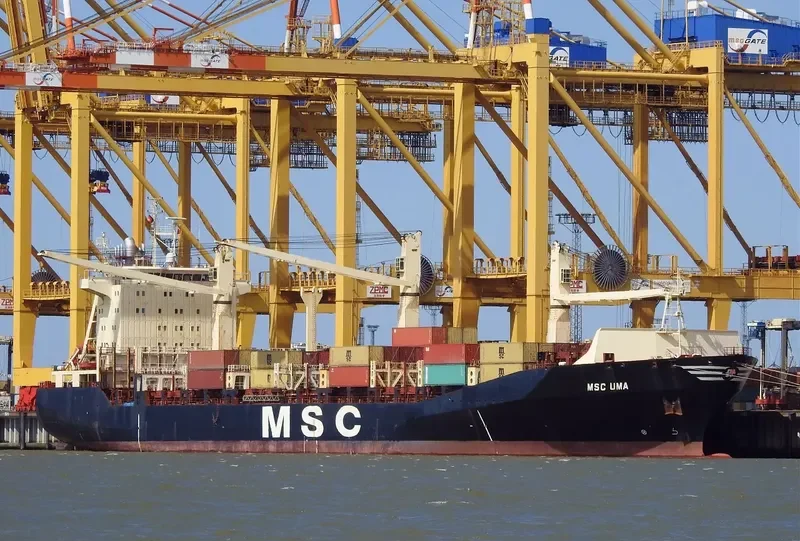 MSC UMA Container Ship IMO 9163192 photo 2