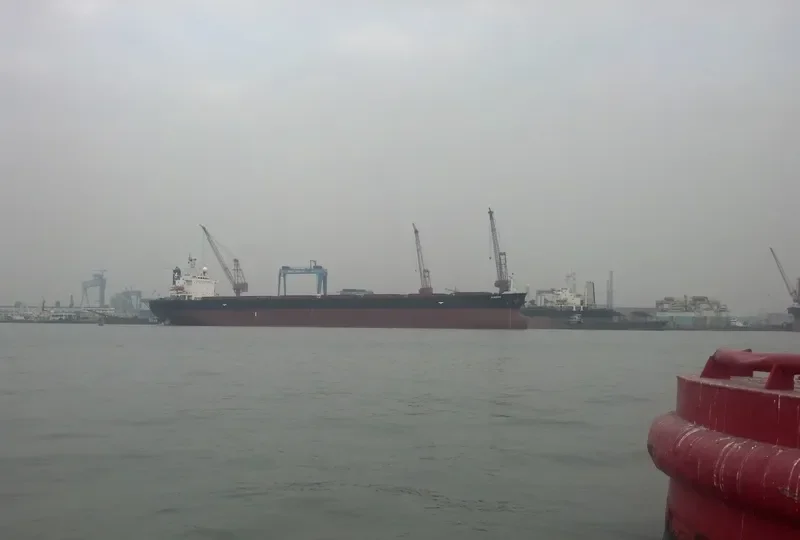 RIBBON Bulk Carrier IMO 9163295 photo 6