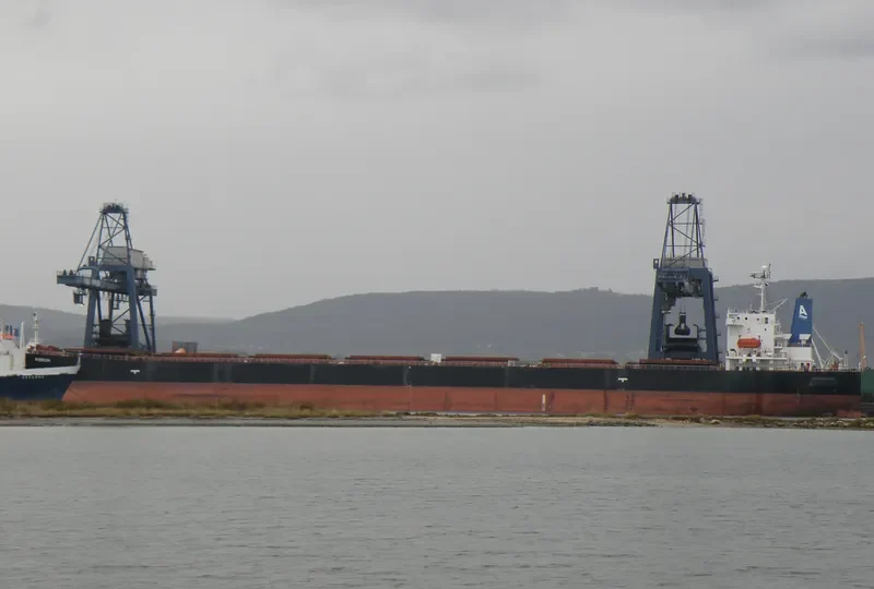 RIBBON Bulk Carrier IMO 9163295 photo 8