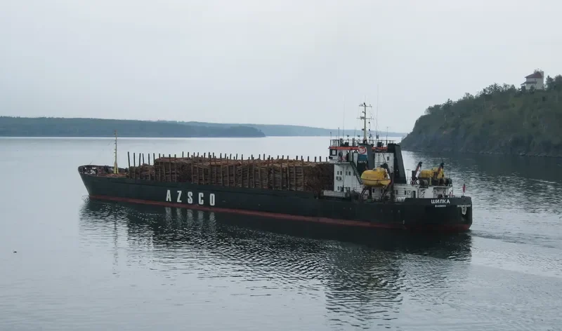 TIAN SHENG 26 Bulk Carrier IMO 9163300 photo 2