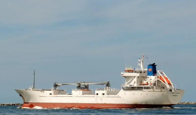 SIERRA LAUREL General Cargo IMO 9163403 photo 6