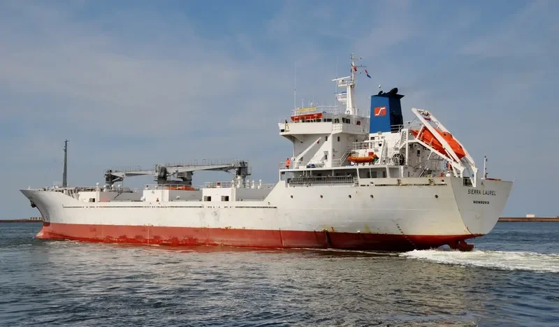 SIERRA LAUREL General Cargo IMO 9163403 photo 8