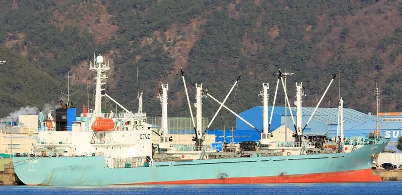 BADARO General Cargo IMO 9163439