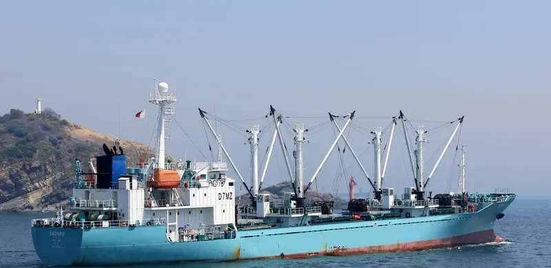 BADARO General Cargo IMO 9163439 photo 2