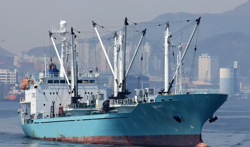 BADARO General Cargo IMO 9163439 photo 4