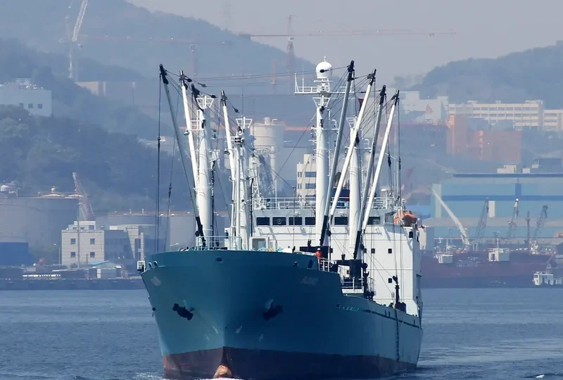 BADARO General Cargo IMO 9163439 photo 5