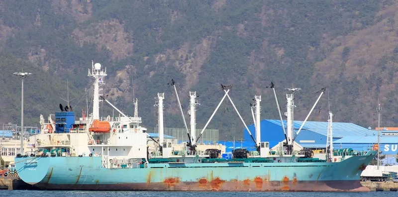 BADARO General Cargo IMO 9163439 photo 6