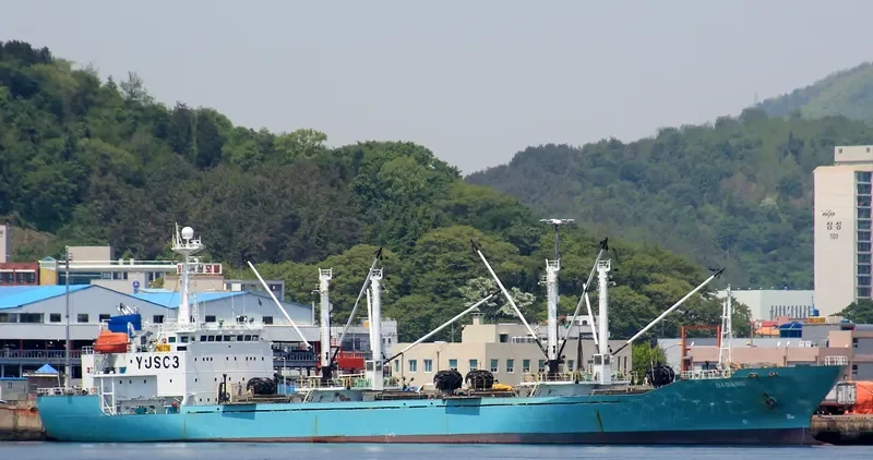 BADARO General Cargo IMO 9163439 photo 7