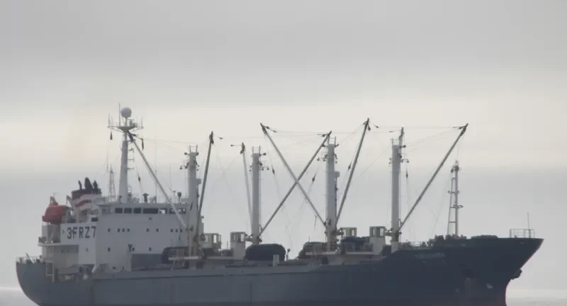 BADARO General Cargo IMO 9163439 photo 10
